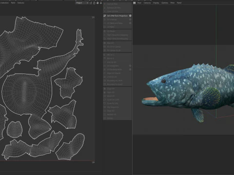 Goliath Grouper fish 3D Model