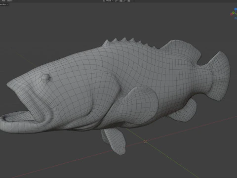 Goliath Grouper fish 3D Model