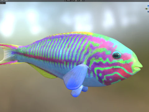 Klunzinger Wrasse fish 3D Model