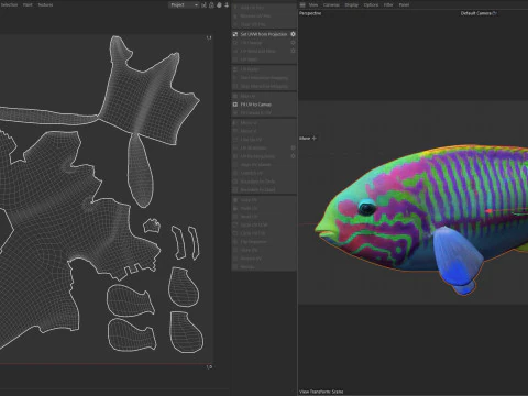 Klunzinger Wrasse fish 3D Model