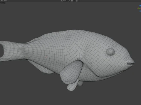 Klunzinger Wrasse fish 3D Model