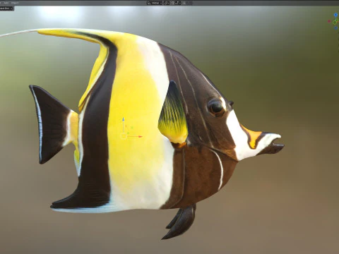 Moorish Idol fish 3D Model