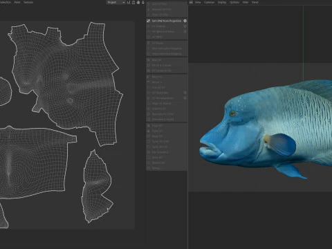 Napoleon Wrasse fish 3D Model