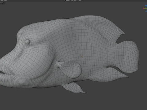 Napoleon Wrasse fish 3D Model