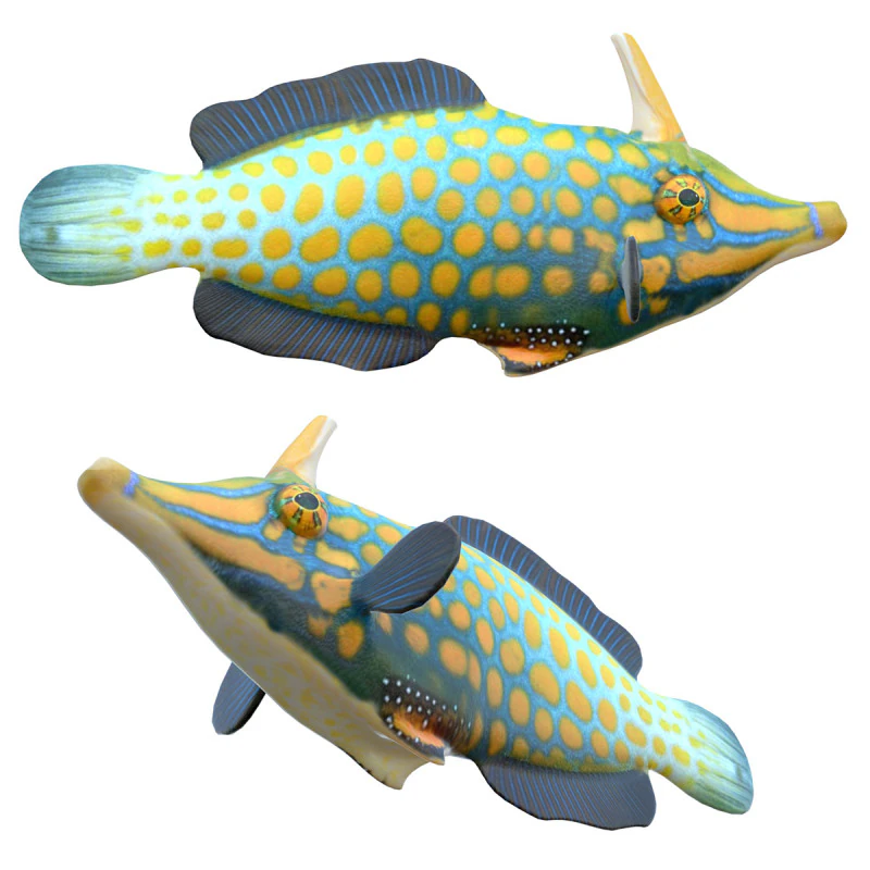 Orangespotted Filefish 3D Model .c4d .max .obj .3ds .fbx .stl .blend 