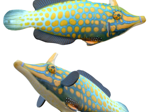 Orangespotted Filefish 3D Model