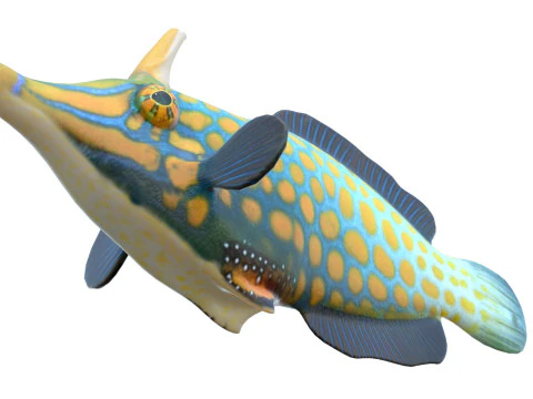 Orangespotted Filefish 3D Model