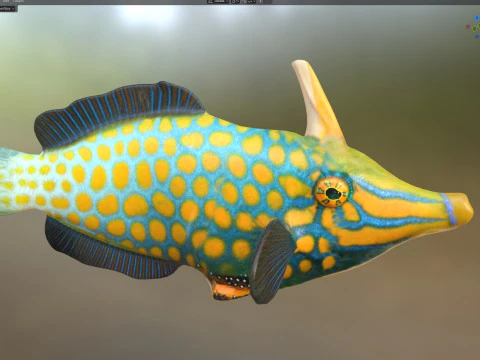 Orangespotted Filefish 3D Model