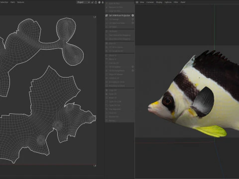 Roaops Butterflyfish 3D Model