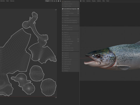 Lachsfisch 3D Modell