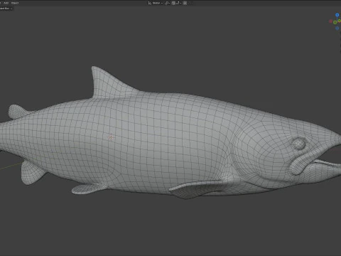 Salmon fish 3D Model