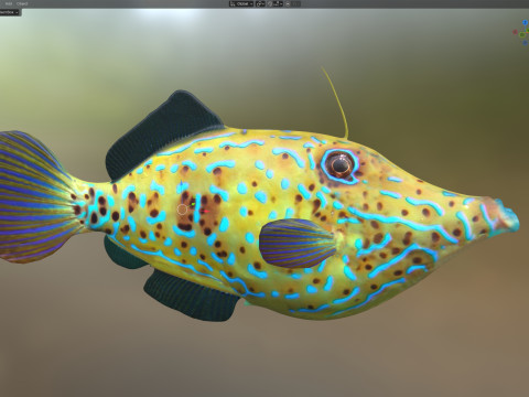 潦草的锉鱼 3D 模型