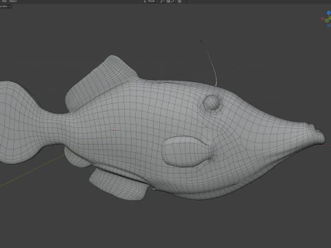 Pez lima garabateado Modelo 3D