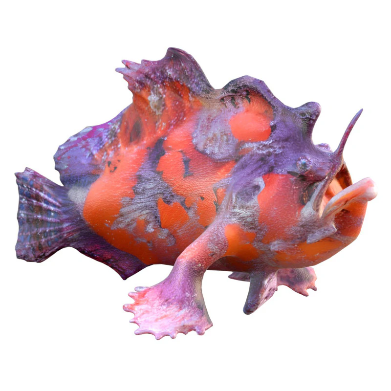 Shaggy Hispid Anglerfish 3D Model .c4d .max .obj .3ds .fbx .stl .blend 