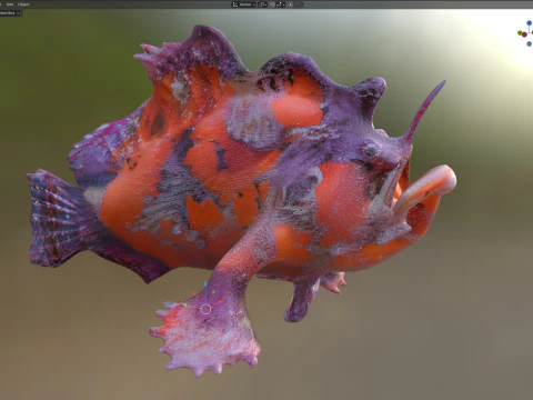 Shaggy Hispid Anglerfish 3D Model