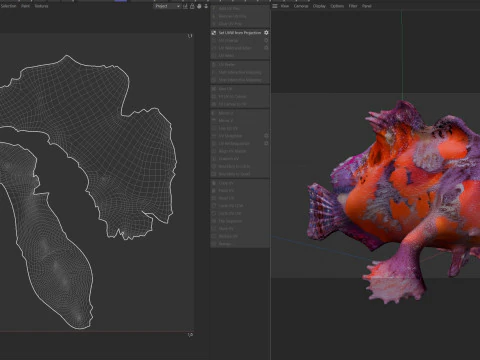 Shaggy Hispid Anglerfish 3D Model