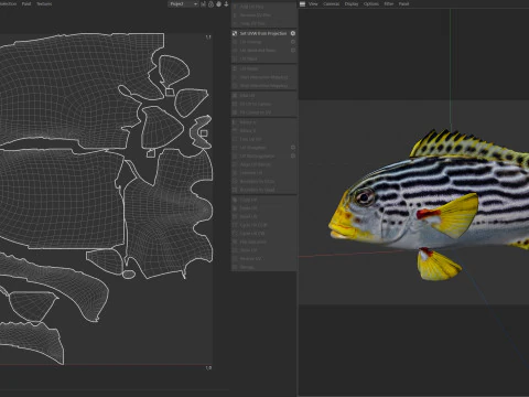 Striped Sweetlips fish 3D Model