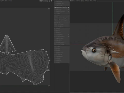 Sunfish MolaMola 3D Model