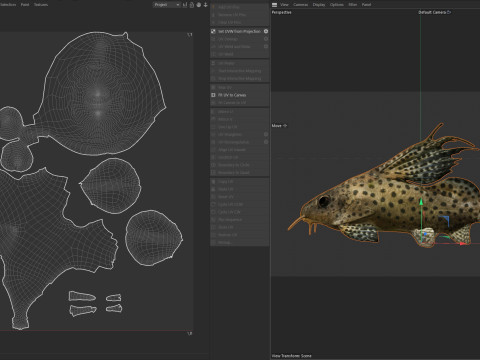 Pesce Synodontis Eupterus Modello 3D