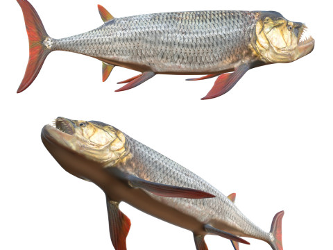 Xiphactinus fish 3D Model