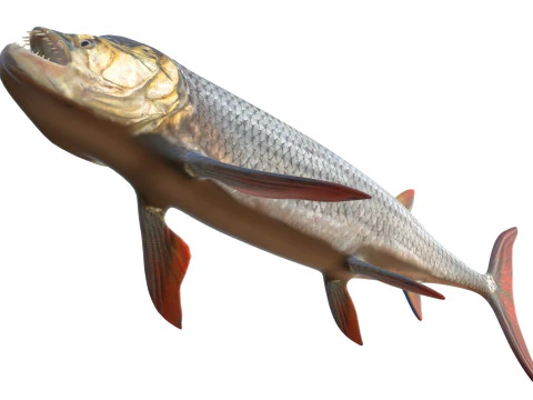 Xiphactinus balığı 3D Model