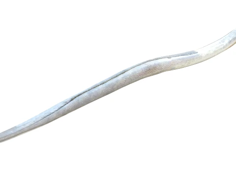 Eel Fish Collection 3D Model