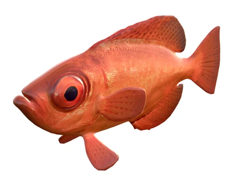 Snapper Fish Collection 3D Model
