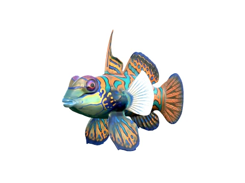 50 Fish Sea Creatures Collection fishes v1 3D Model