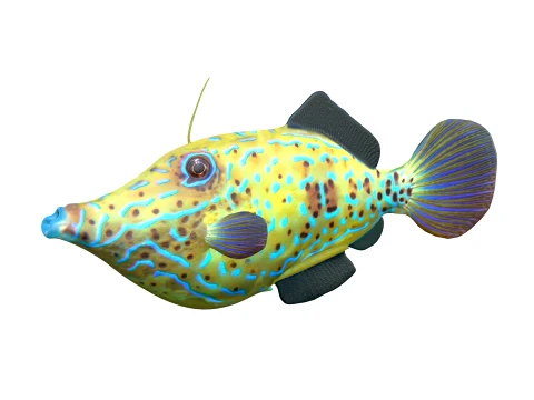 50 Fish Sea Creatures Collection fishes v1 3D Model