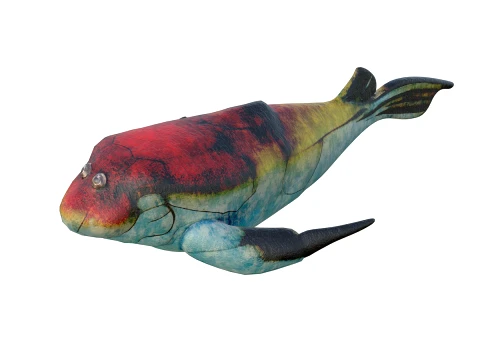 50 Fish Sea Creatures Collection v2 3D Model