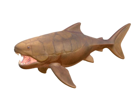 50 Fish Sea Creatures Collection v2 3D Model