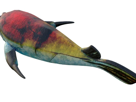 50 Fish Sea Creatures Collection v4 3D Model