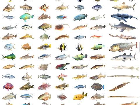 Colecci&oacute;n de 100 peces y criaturas marinas v1 Modelo 3D