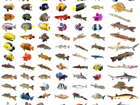 Cole&ccedil;&atilde;o de 100 criaturas marinhas de peixes v2 Modelo 3D