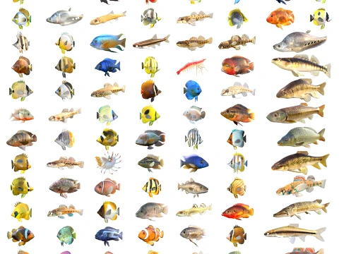 100 Fish Sea Creatures-collectie v3 3D Model