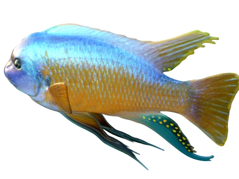 100 Fish Sea Creatures Collection v3 3D Model