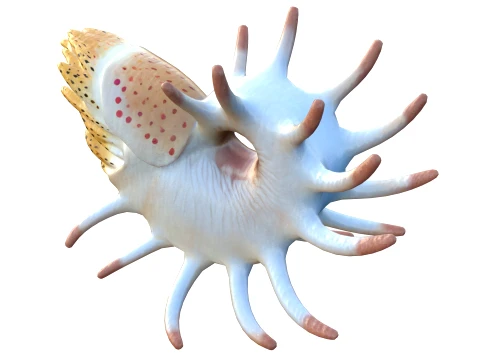100 Fish Sea Creatures Collection v3 3D Model