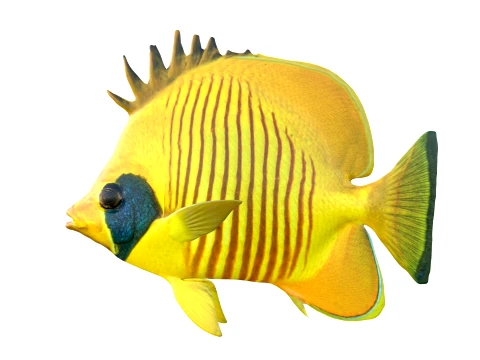 100 Fish Sea Creatures Collection v3 3D Model