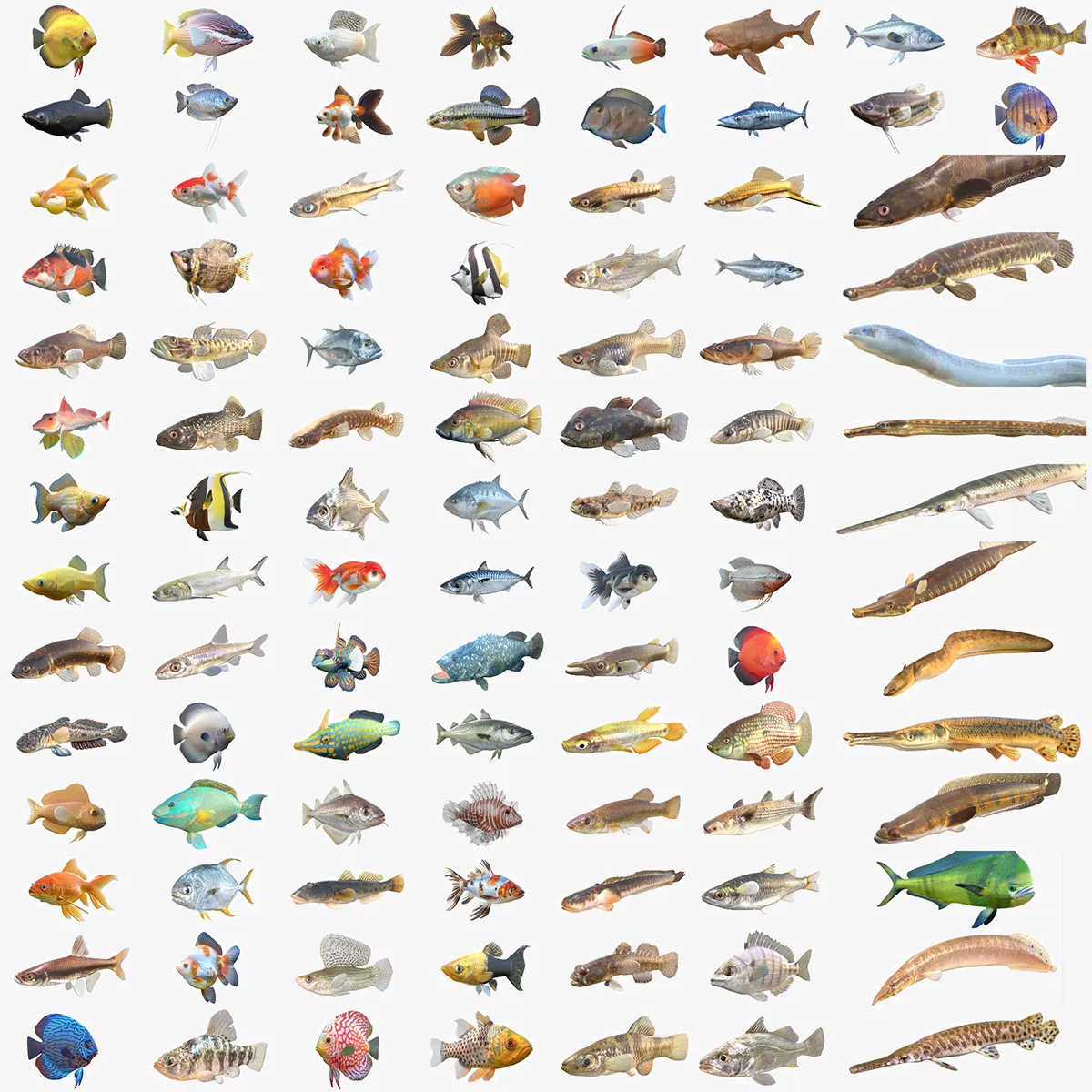 100 Fish Sea Creatures Collection v4 3D Model .c4d .max .obj .3ds .fbx .stl .blend