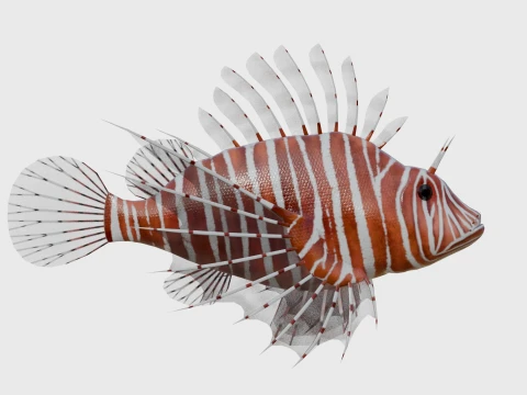 100 Fish Sea Creatures Collection v4 3D Model