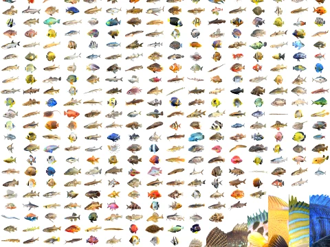 Mega coleção de 400 peixes marinhos Modelo 3D