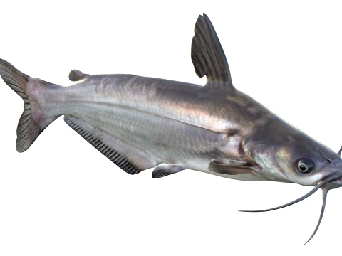 400 Fish Sea Creatures mega Collection 3D Model