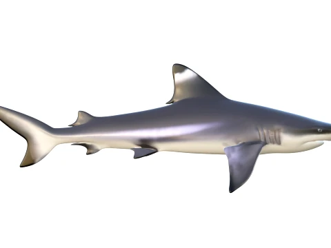 400 Fish Sea Creatures mega Collection 3D Model