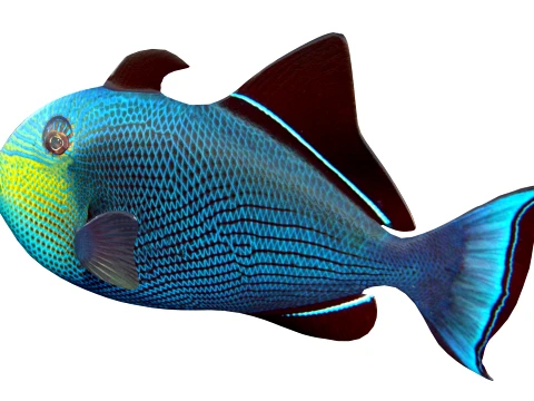 400 Fish Sea Creatures mega Collection 3D Model