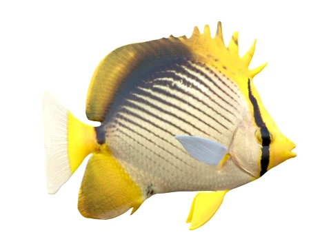 400 Fish Sea Creatures mega Collection 3D Model