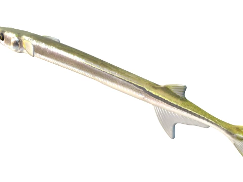 400 Fish Sea Creatures mega Collection 3D Model