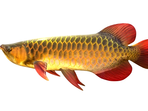 400 Fish Sea Creatures mega Collection 3D Model