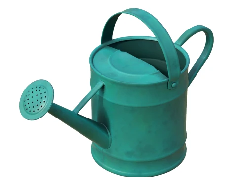 Regadera de metal pintada Modelo 3D