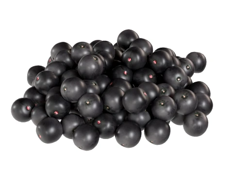 Mucchio di bacche di Acai Modello 3D