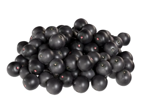 Acai Berry Pile 3D Model